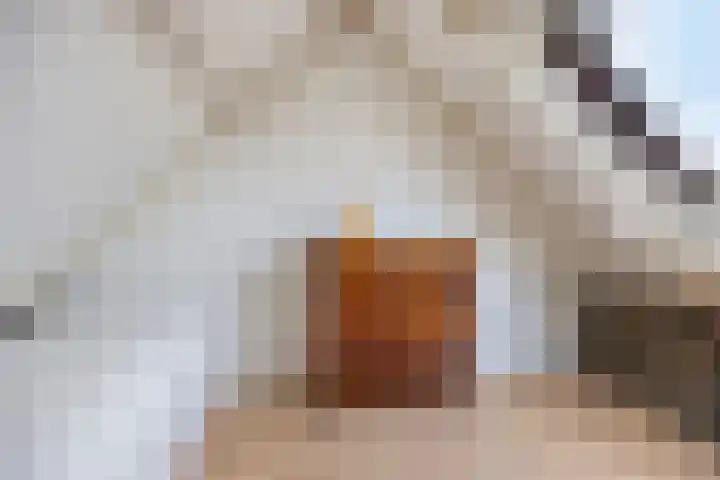 Wulp 29 Raalte thumbnail 20