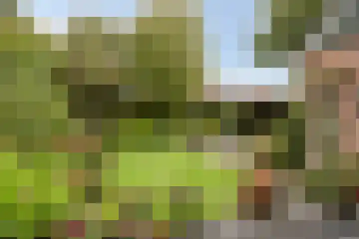 Wulp 29 Raalte thumbnail 21