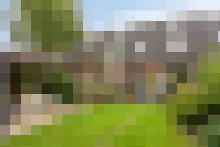 Wulp 29 Raalte thumbnail 23