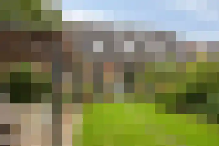 Wulp 29 Raalte thumbnail 24