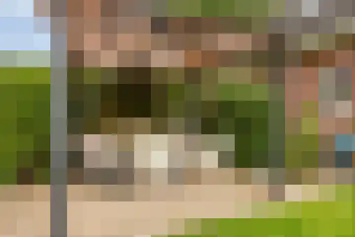 Wulp 29 Raalte thumbnail 25
