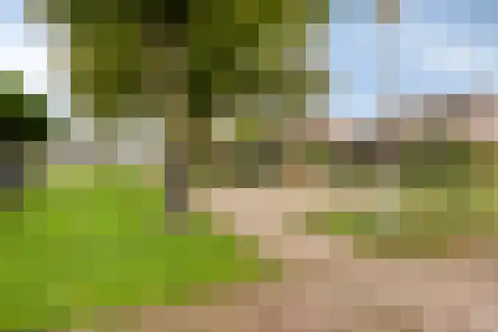 Wulp 29 Raalte thumbnail 26