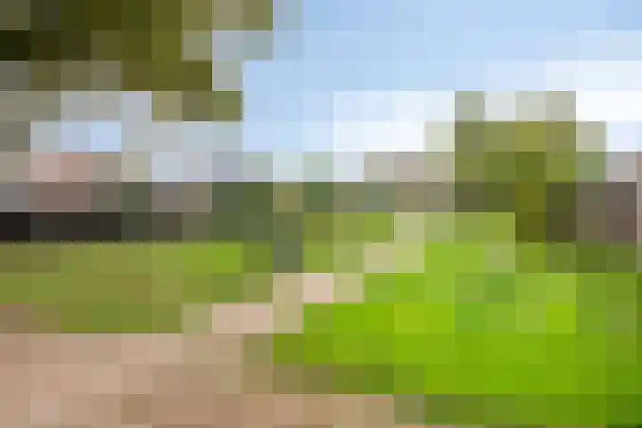 Wulp 29 Raalte thumbnail 27
