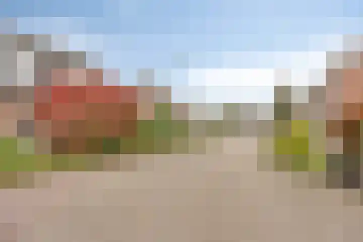 Wulp 29 Raalte thumbnail 28