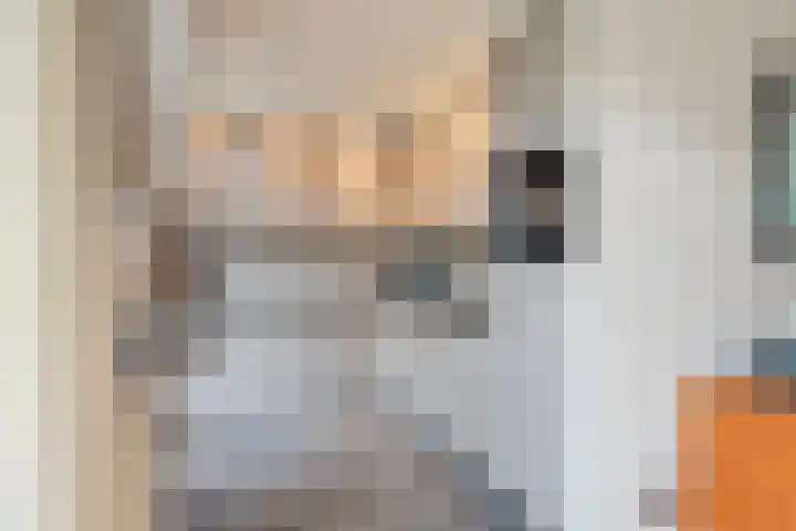 Wulp 29 Raalte thumbnail 8