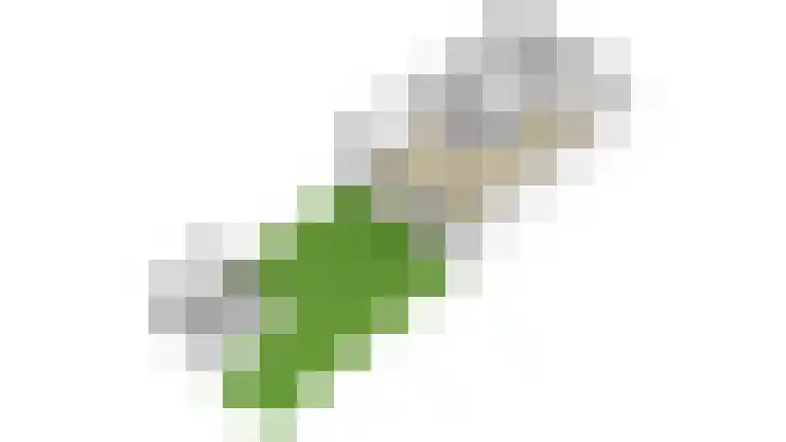 Wulp 40 Diemen thumbnail 27