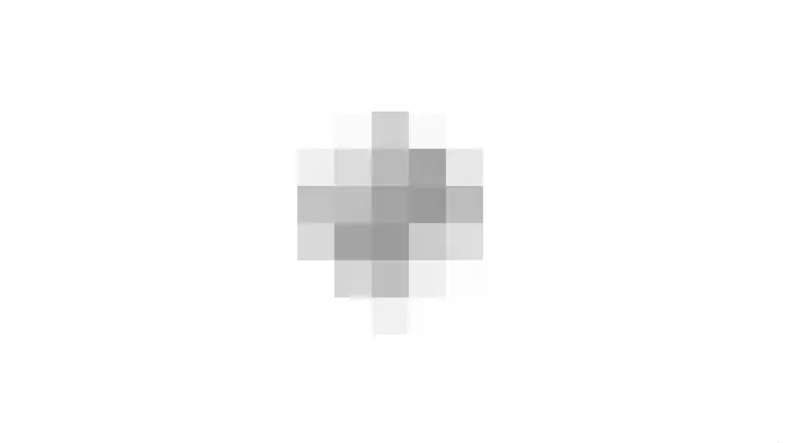Wulp 40 Diemen thumbnail 30