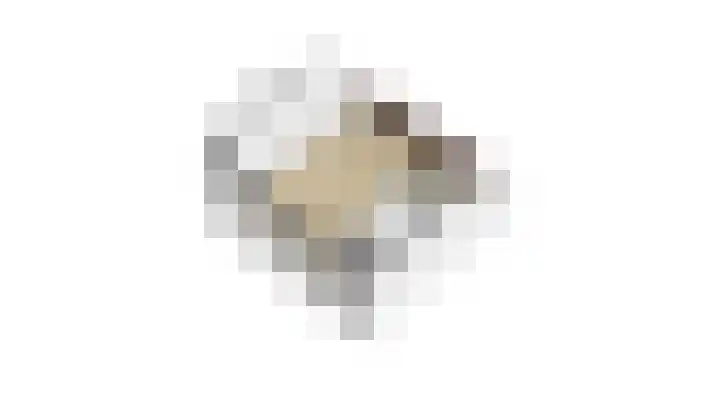 Wulp 40 Diemen thumbnail 37