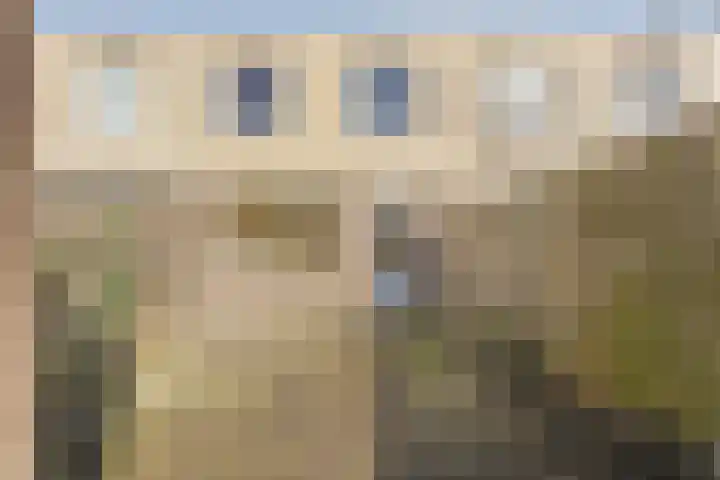 Wulp 40 Diemen thumbnail 6