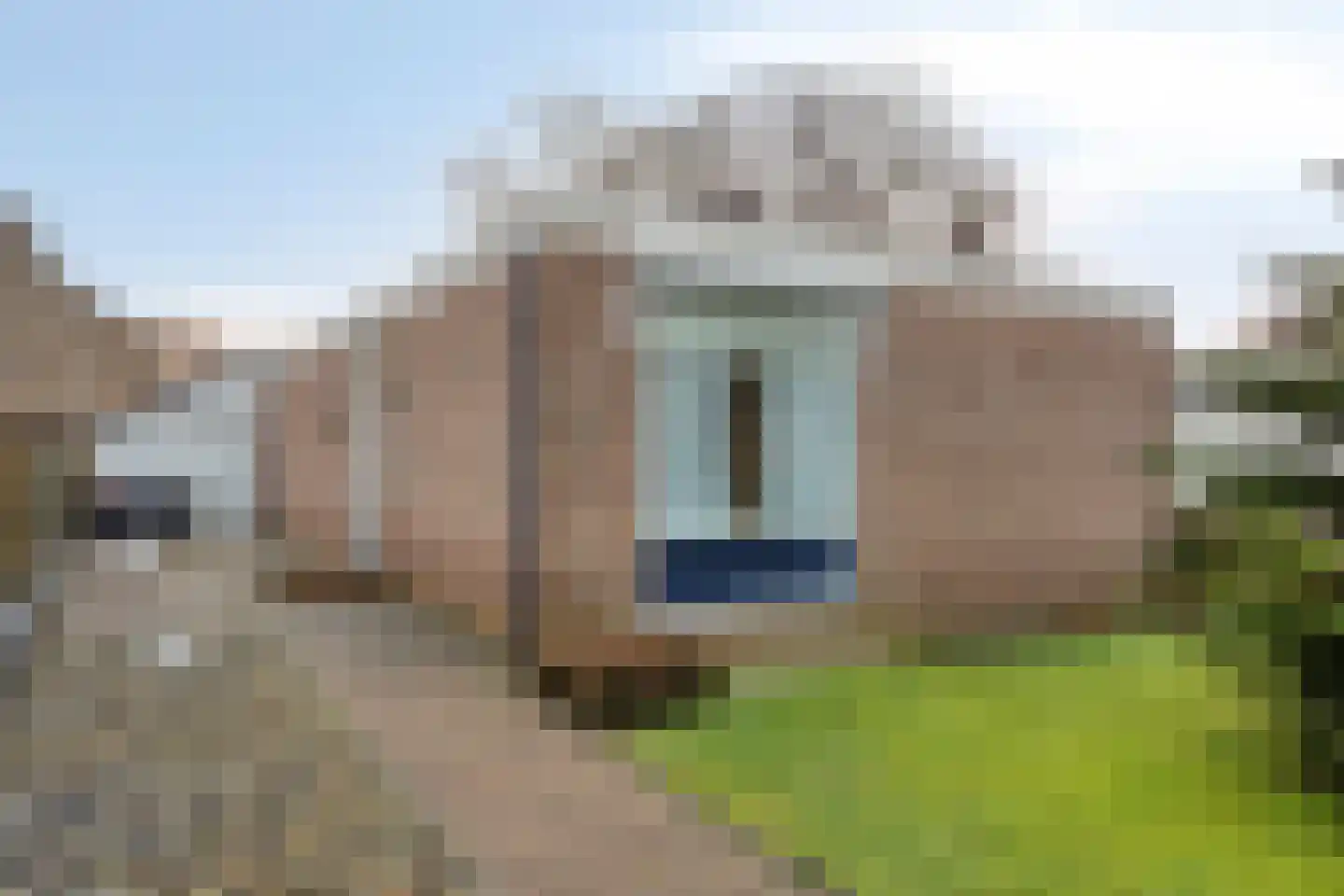 Wulp 55 Raalte