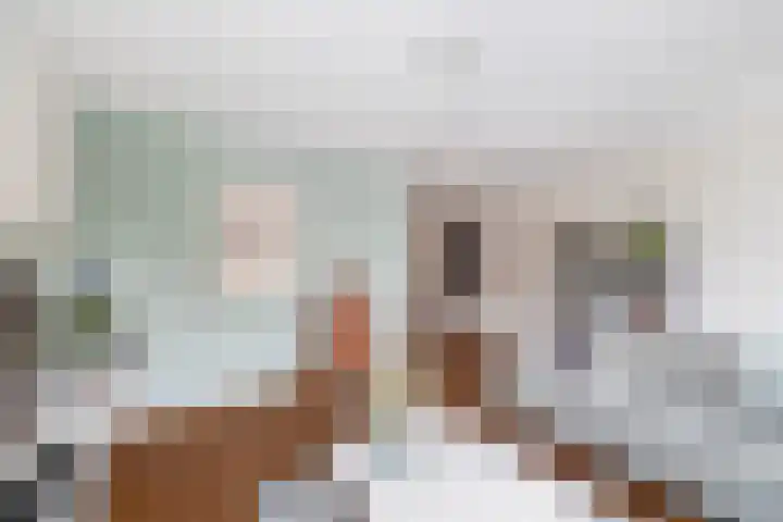Wulp 8 Lemmer thumbnail 10