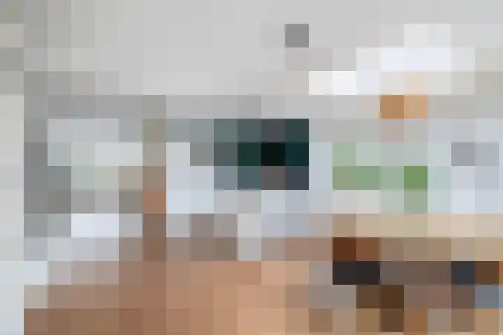 Wulp 8 Lemmer thumbnail 12
