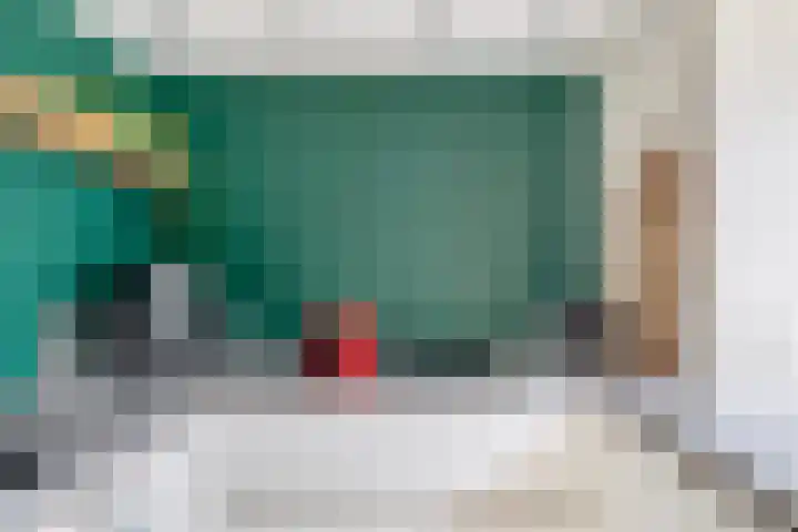 Wulp 8 Lemmer thumbnail 14