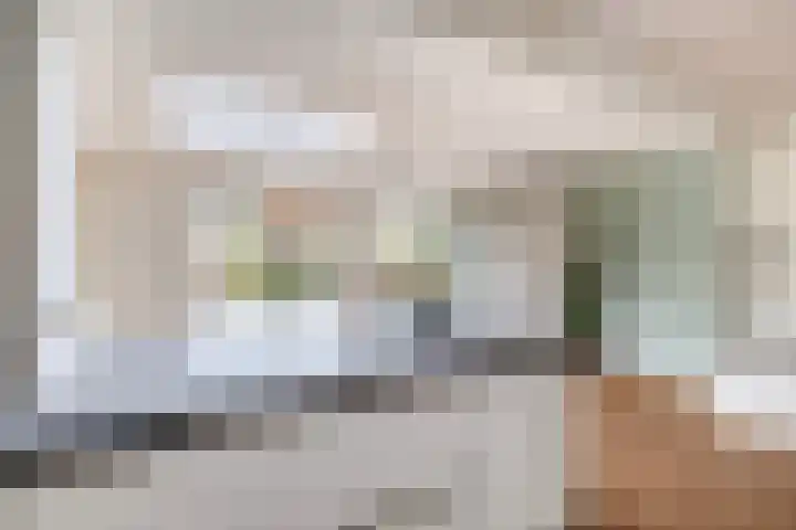 Wulp 8 Lemmer thumbnail 17