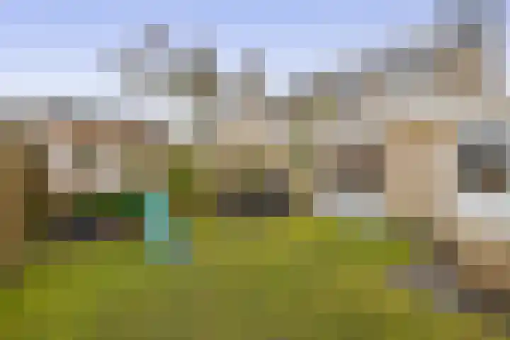 Wulp 8 Lemmer foto 2