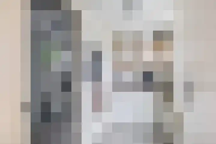 Wulp 8 Lemmer thumbnail 20