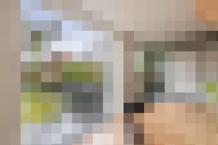 Wulp 8 Lemmer thumbnail 21