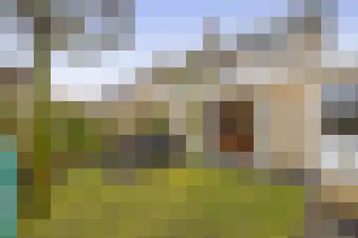 Wulp 8 Lemmer thumbnail 22