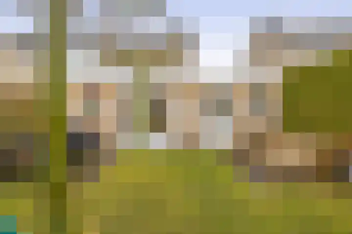 Wulp 8 Lemmer thumbnail 23
