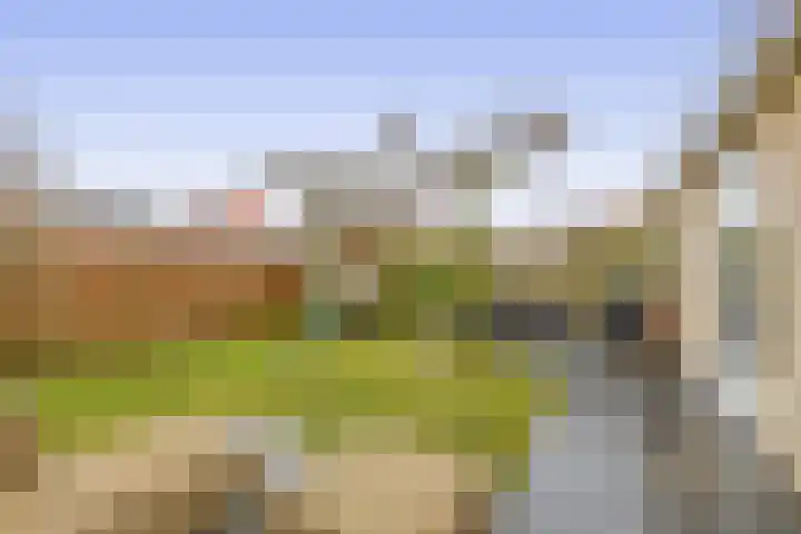 Wulp 8 Lemmer thumbnail 24