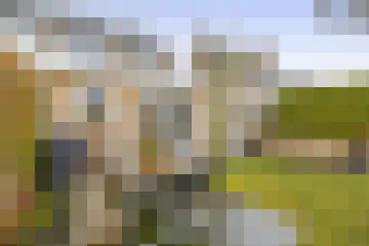 Wulp 8 Lemmer thumbnail 25