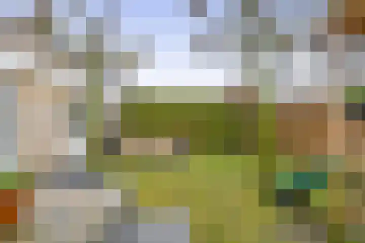 Wulp 8 Lemmer thumbnail 27