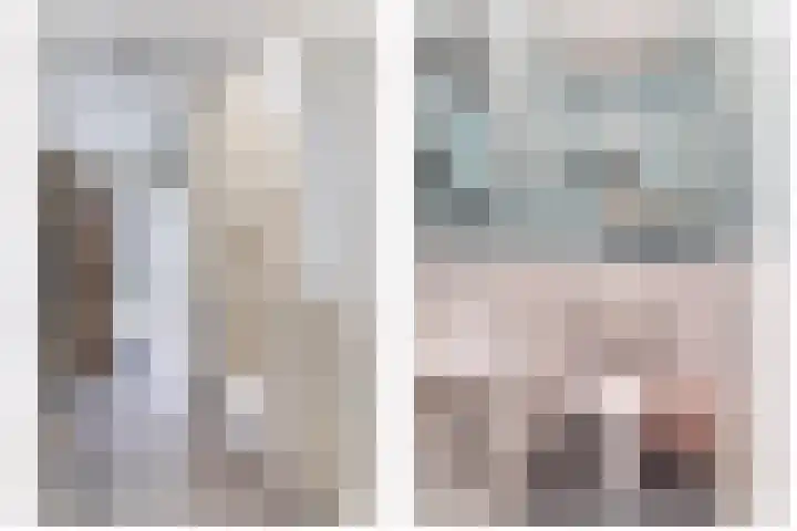 Wulp 8 Lemmer foto 3