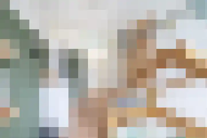 Wulp 8 Lemmer thumbnail 30