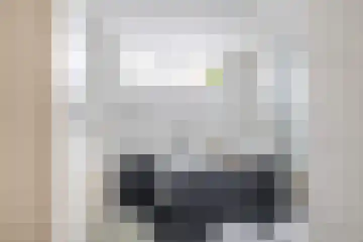 Wulp 8 Lemmer thumbnail 33