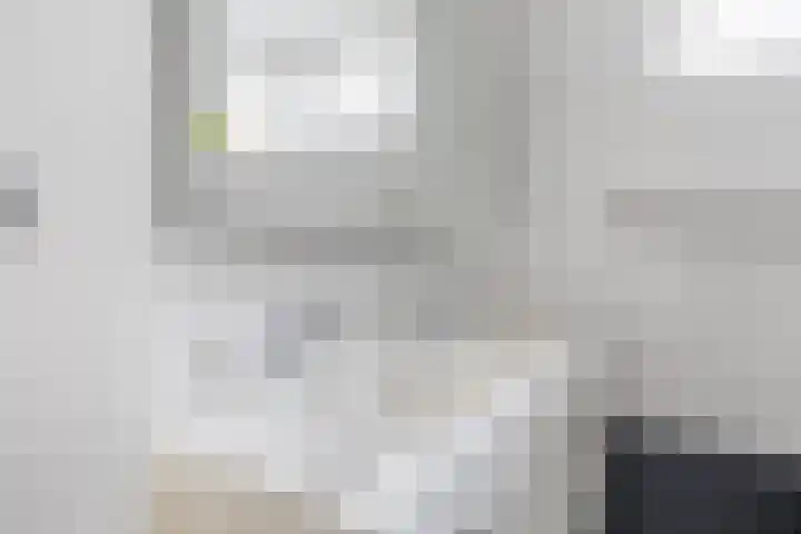 Wulp 8 Lemmer thumbnail 35