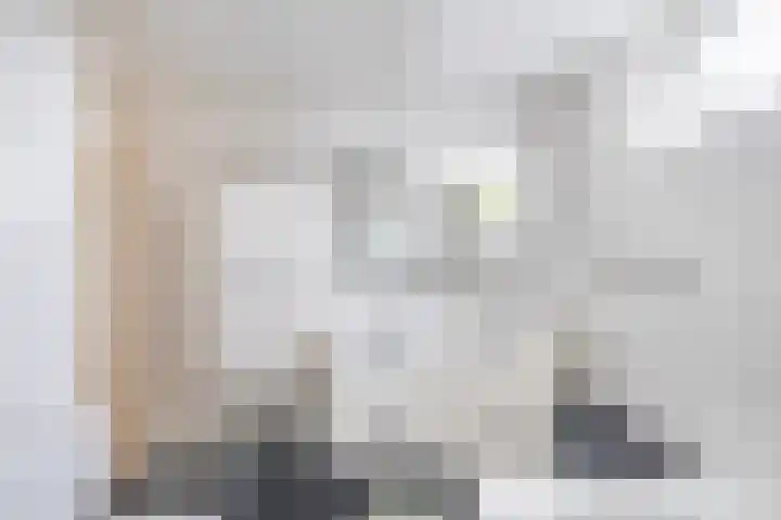 Wulp 8 Lemmer thumbnail 36