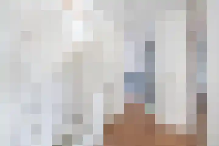 Wulp 8 Lemmer thumbnail 41