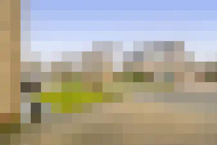 Wulp 8 Lemmer thumbnail 46
