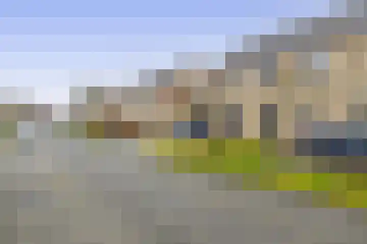Wulp 8 Lemmer thumbnail 47