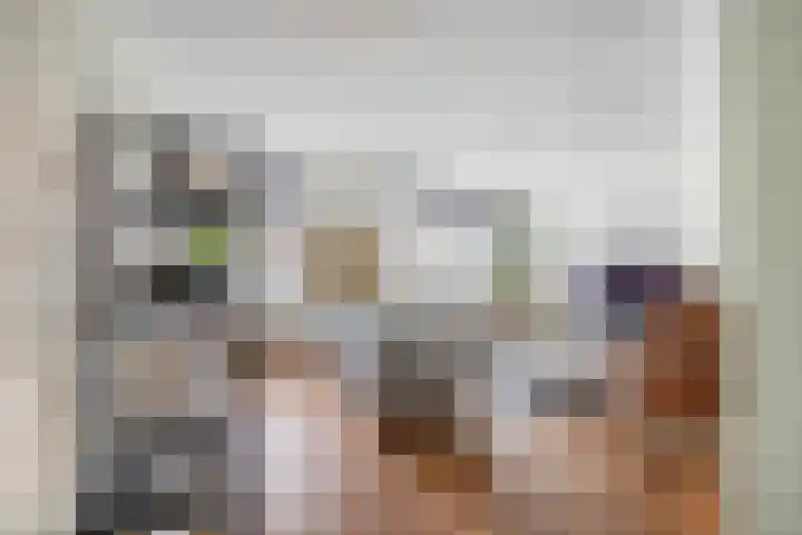 Wulp 8 Lemmer thumbnail 6