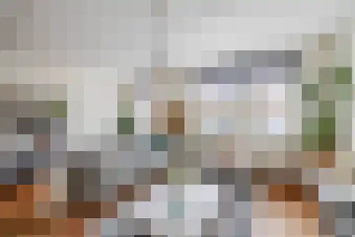 Wulp 8 Lemmer thumbnail 7