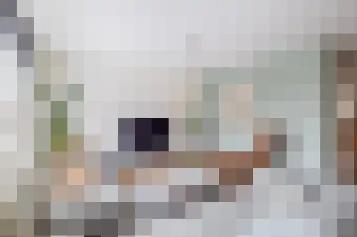 Wulp 8 Lemmer thumbnail 8