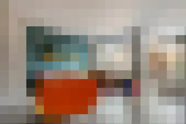 Wulp 81 Raalte thumbnail 11