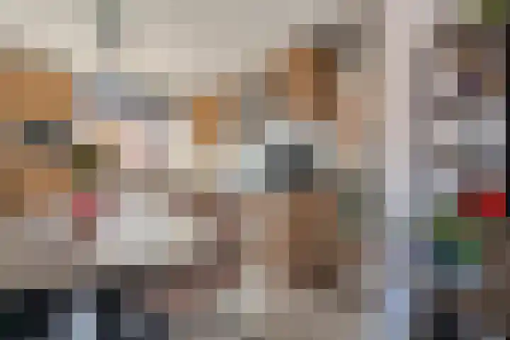 Wulp 81 Raalte thumbnail 15