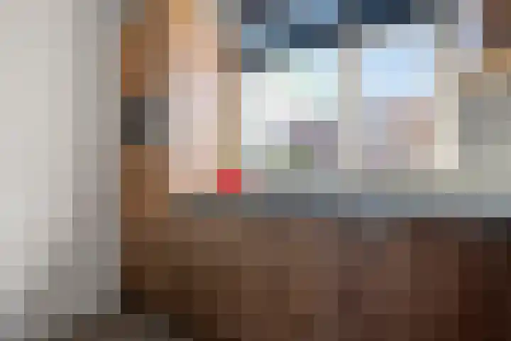 Wulp 81 Raalte thumbnail 18