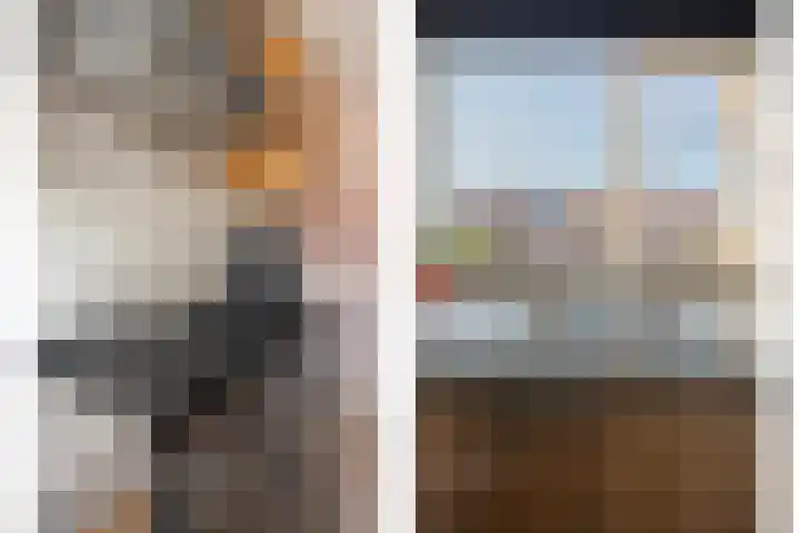 Wulp 81 Raalte thumbnail 19