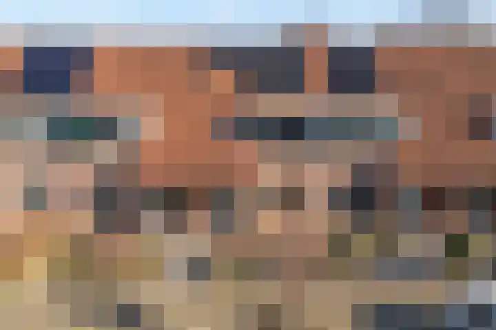 Wulp 81 Raalte foto 2