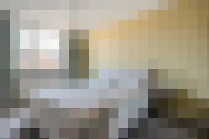 Wulp 81 Raalte thumbnail 21