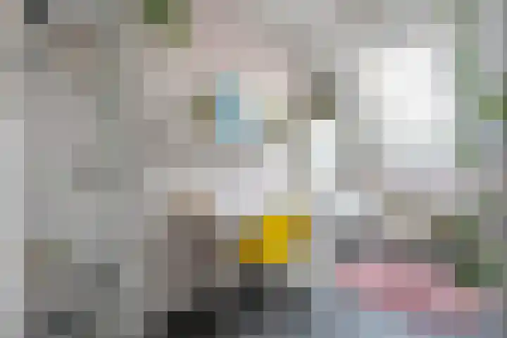 Wulp 81 Raalte thumbnail 23