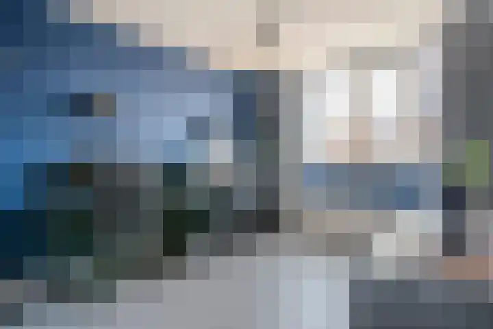 Wulp 81 Raalte thumbnail 25