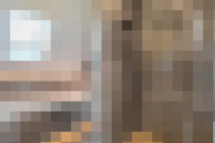 Wulp 81 Raalte thumbnail 27