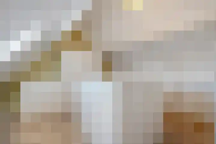 Wulp 81 Raalte thumbnail 29