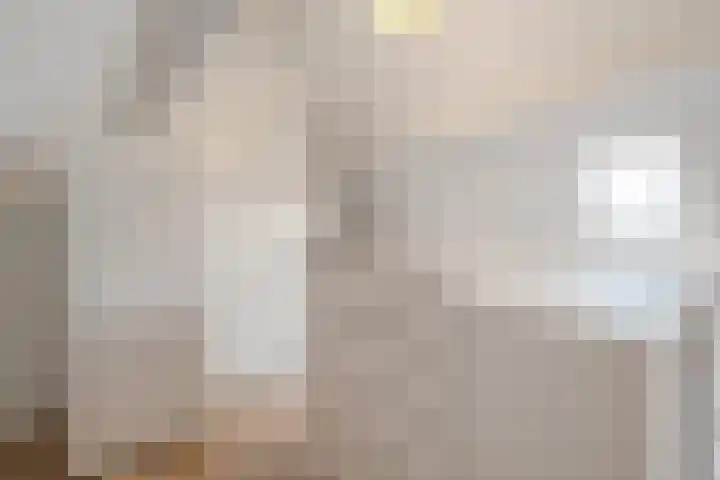 Wulp 81 Raalte thumbnail 30