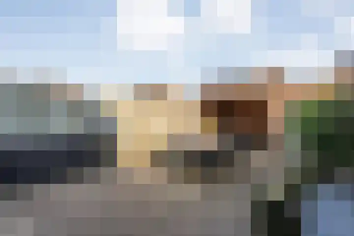 Wulp 81 Raalte thumbnail 31