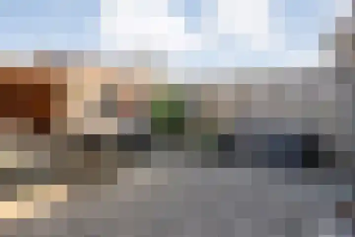 Wulp 81 Raalte thumbnail 32